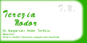 terezia modor business card